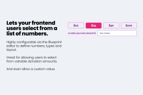 Variable Number Fieldtype Screenshot 2